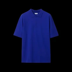 BLE ROI REVERS BDEBLANCHE