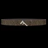 Ceinture  FENDI toile FF marron passant boucle F en T