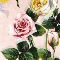 Etole foulard DOLCE & GABBANA modal soie rose imprimé floral franges