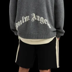 Pull à capuche PALM ANGELS laine cachemire gris logo incurvé bas dos blanc