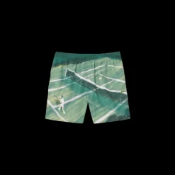 Short de bain LACOSTE nylon séchage rapide imprimé vert Tennis