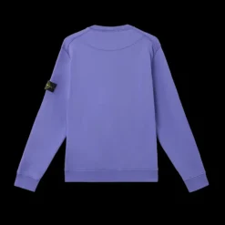 Sweat-shirt ras-du-cou STONE ISLAND molleton coton bio violet lavande