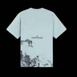 T-shirt STONE ISLAND col rond coton vert gris Print Tee boussole